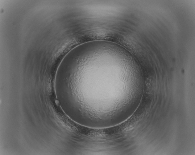 X0000090450642200707131229
