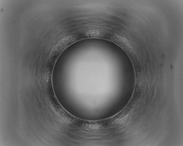 X0000090450645200707131229