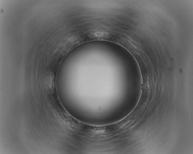X0000090450651200707131229
