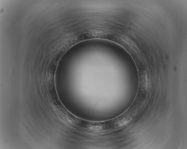 X0000090450653200707131229