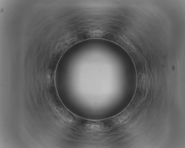 X0000090450655200707131229