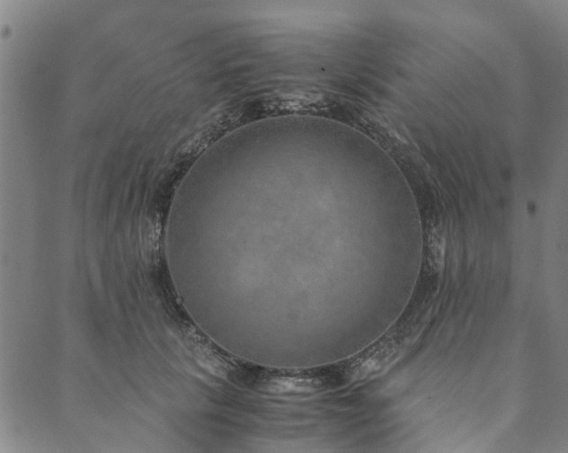 X0000090450657200707131229
