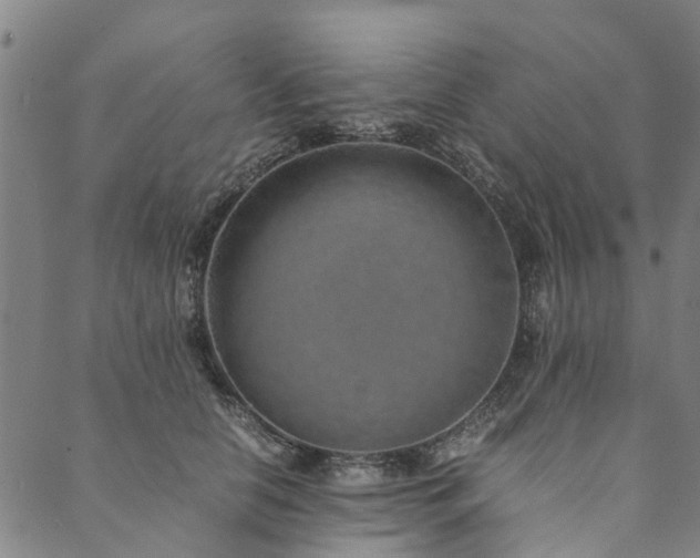 X0000090450658200707131229