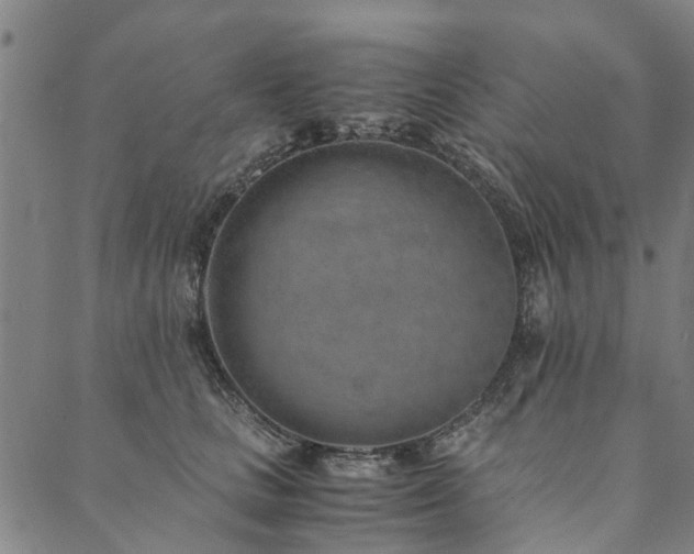 X0000090450661200707131229