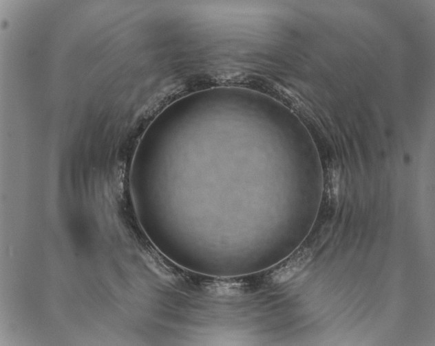 X0000090450664200707131229