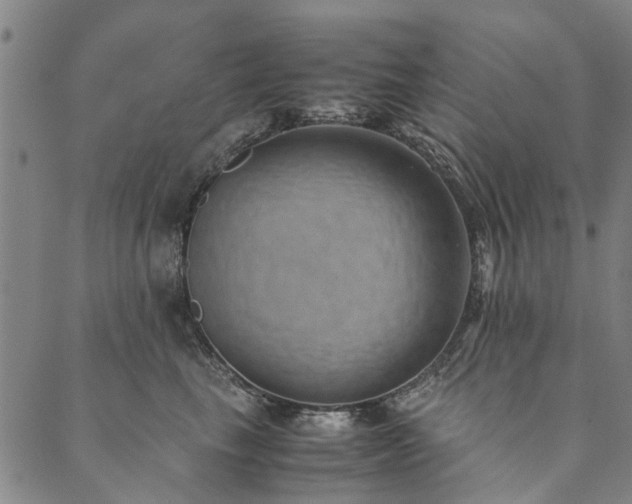 X0000090450665200707131229