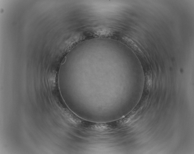 X0000090450668200707131230