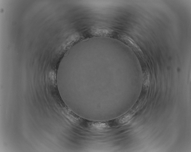 X0000090450669200707131230