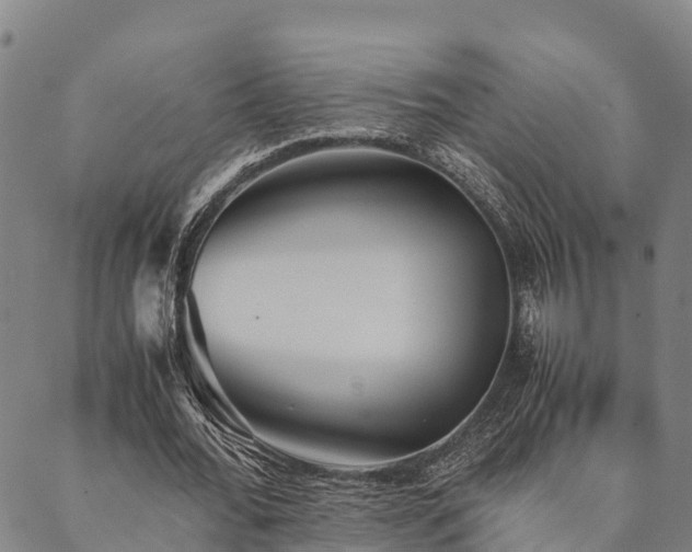 X0000090450676200707131229