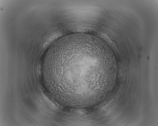 X0000090450683200707131229