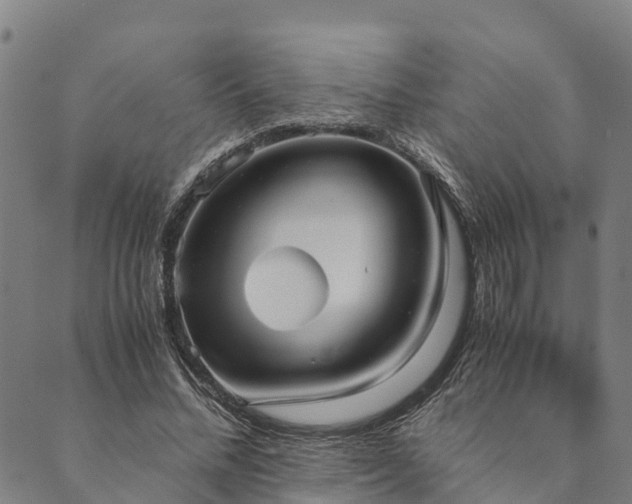 X0000090450684200707131229