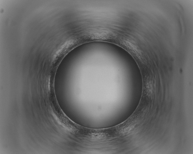 X0000090450686200707131229