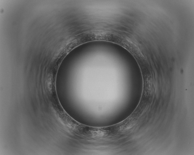 X0000090450698200707131228