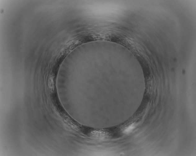 X0000090450699200707131228