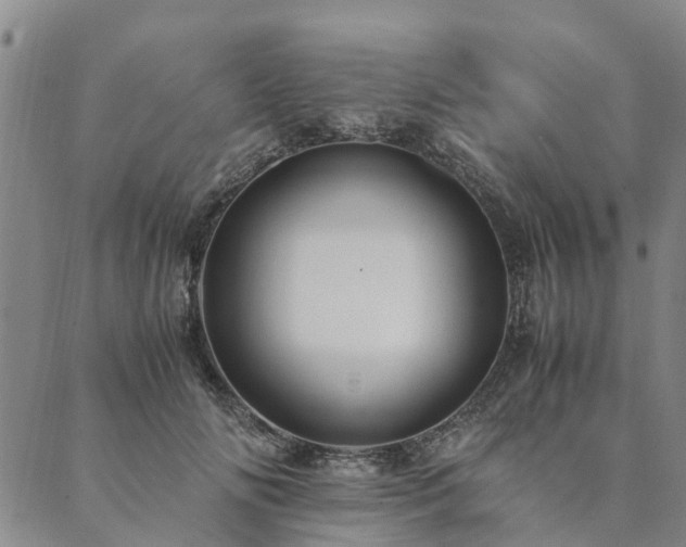 X0000090450702200707131228
