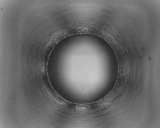 X0000090450706200707131228