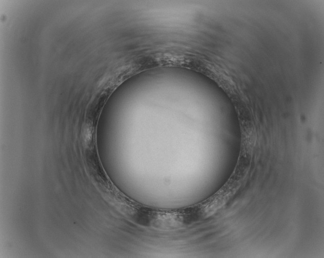 X0000090450709200707131228