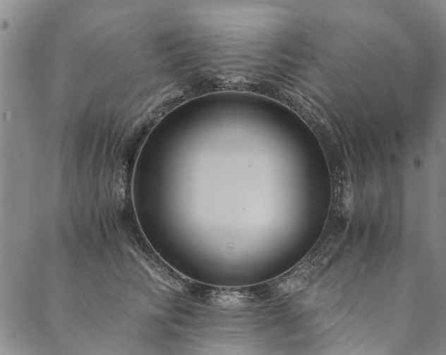 X0000090450710200707131228