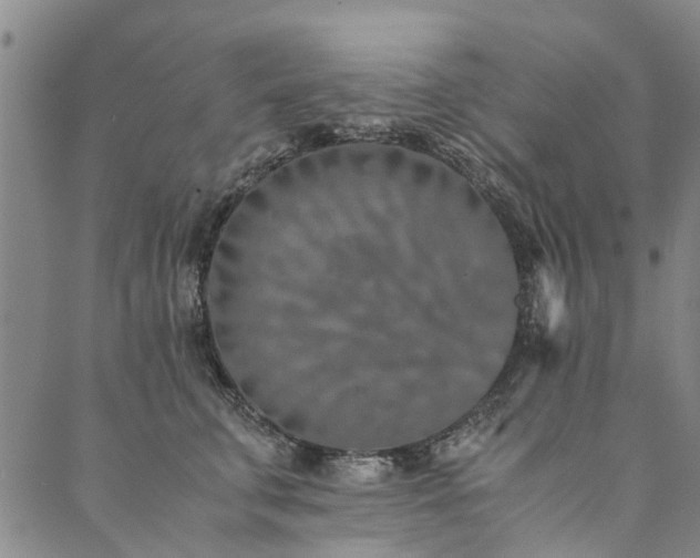 X0000090450711200707131228