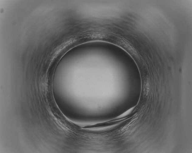 X0000090450722200707131227