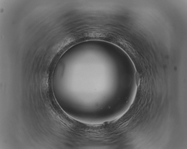 X0000090450727200707131227