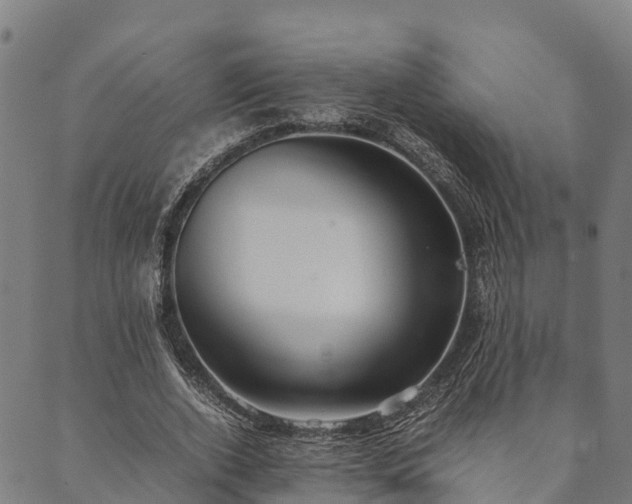 X0000090450728200707131227