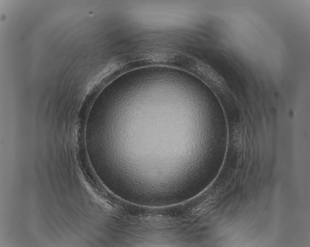 X0000090450730200707131227