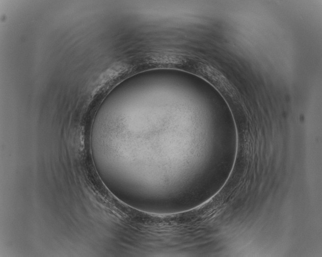 X0000090450731200707131227