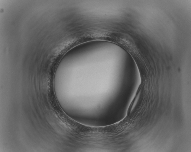 X0000090450732200707131227