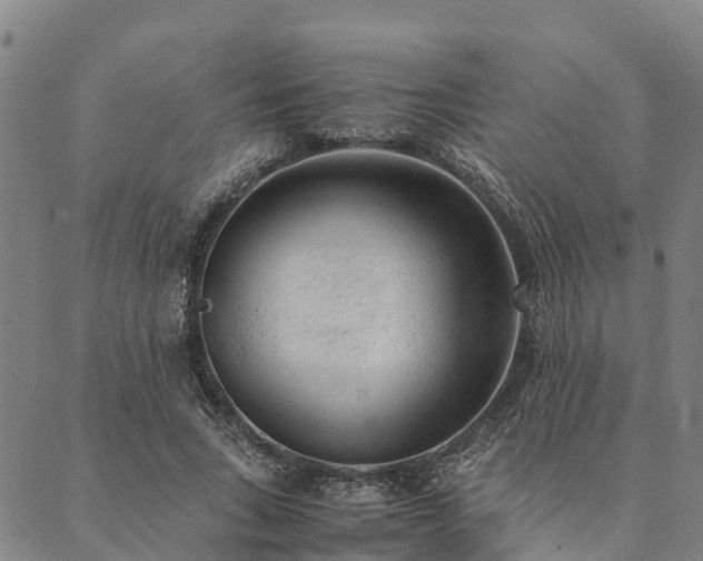 X0000090450735200707131227