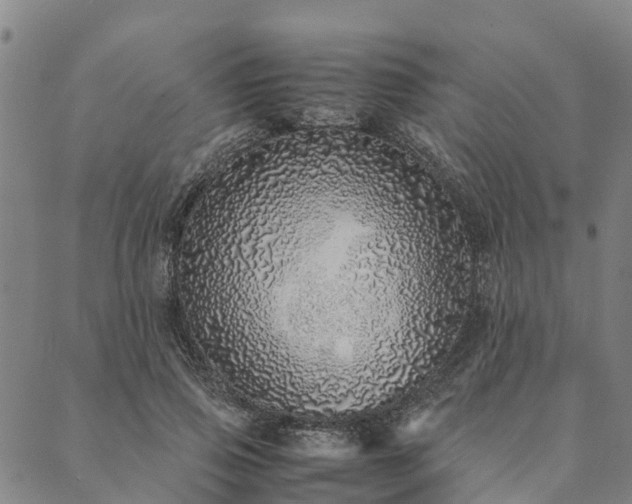 X0000090450741200707131228