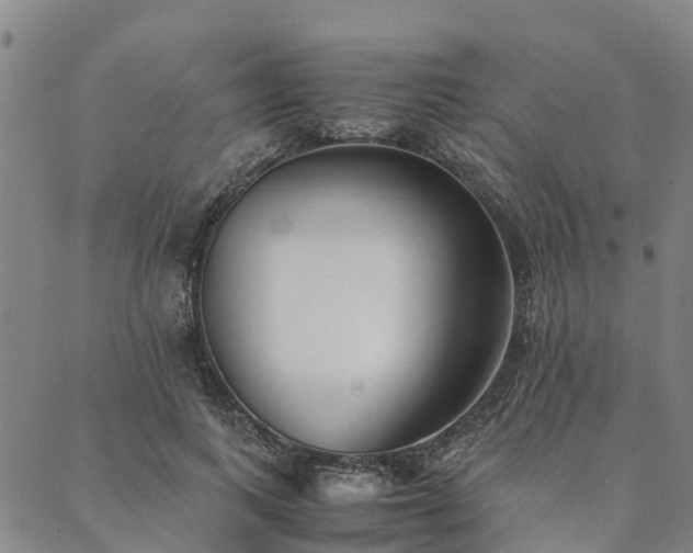 X0000090450743200707131228