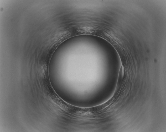 X0000090450747200707131228