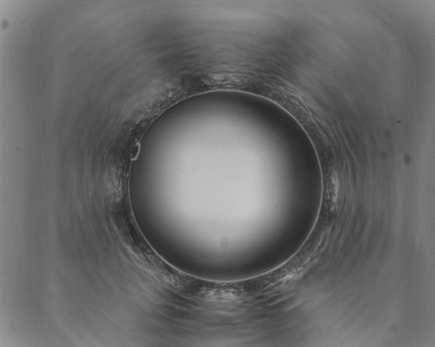 X0000090450751200707131228