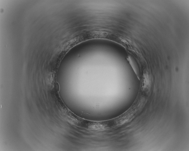 X0000090450759200707131228