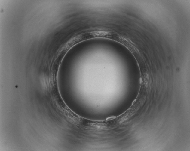 X0000090450763200707131228
