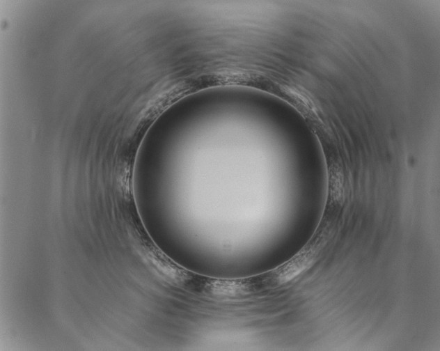 X0000090450766200707131228