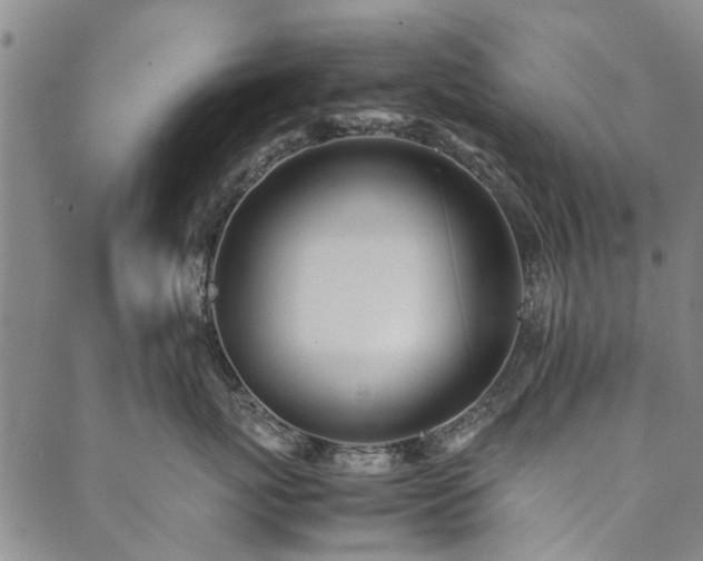 X0000090450767200707131228