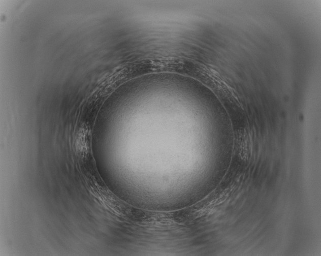 X0000090450770200707131227