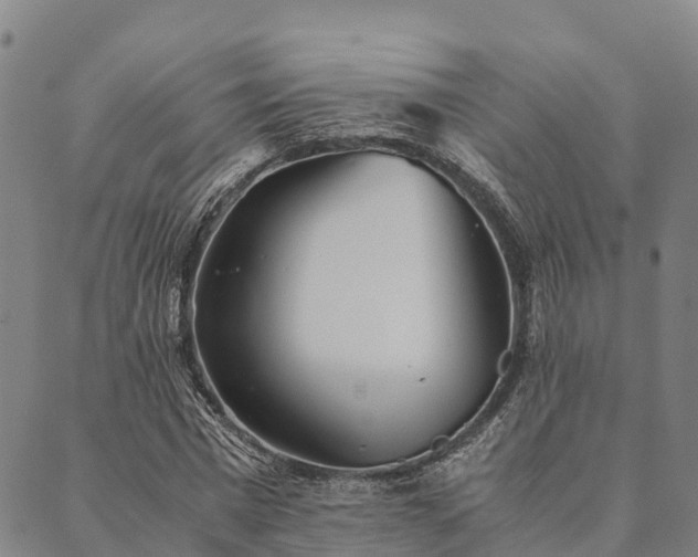 X0000090450777200707131227