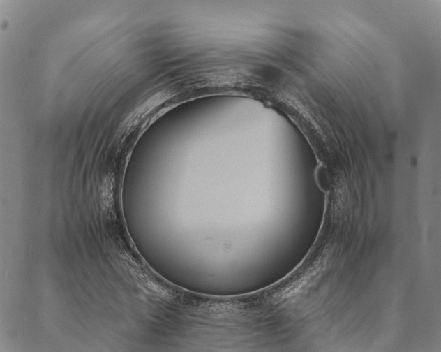 X0000090450778200707131227