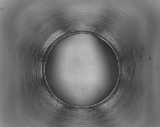 X0000090450782200707131227