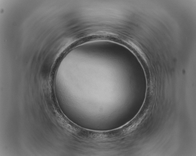 X0000090450783200707131227