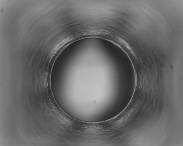 X0000090450786200707131227