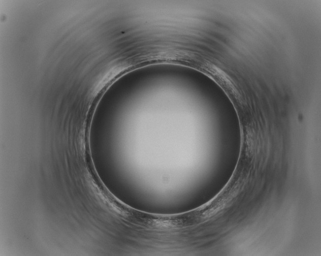 X0000090450794200707131227