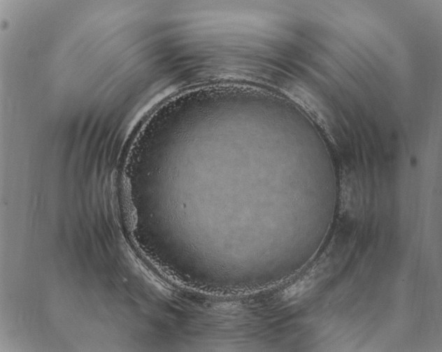 X0000090450798200707131227