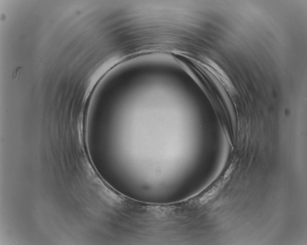 X0000090450812200707131227