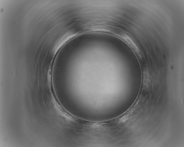 X0000090450814200707131227