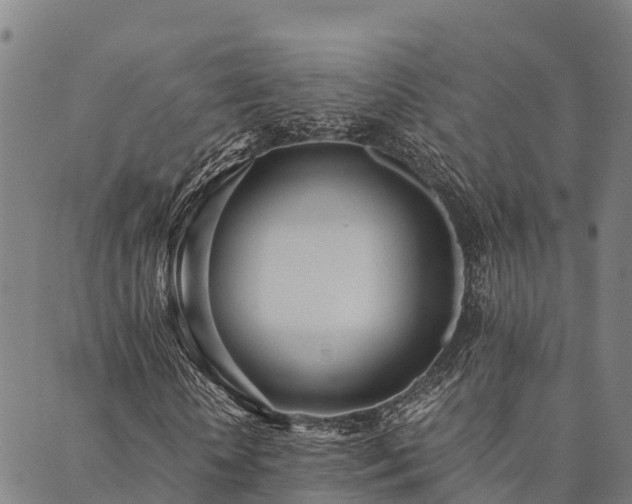 X0000090450818200707131226