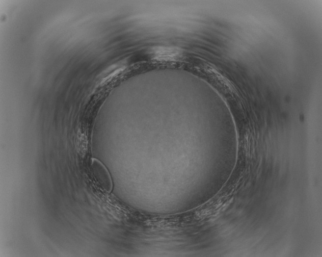 X0000090450821200707131226
